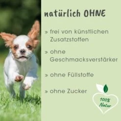 ArthroGreen Junior 25 G -EUKANUBA Verkäufe 013d32f1d253838d1efc9de0f8c454f921526ea1 1674241 de DE 833c41f64e49fb0cf3ea1fa970839416ee330fd2KA770O