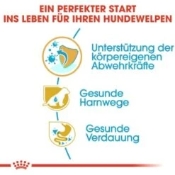 ROYAL CANIN Dalmatian Puppy 12kg 17 ROYAL CANIN Dalmatian Puppy 12kg -EUKANUBA Verkäufe 01d2d0eb97eec5901e0e46935c630d69683f4fac 099f45fb6a32a3ed28f351b2b13fd9abe839762e