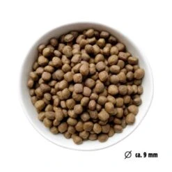 Eat Small EatSmall 10kg Mini Balance Trockenfutter 13 Eat Small EatSmall 10kg Mini Balance Trockenfutter -EUKANUBA Verkäufe 022311929b7a668588c438a801ffcb397cc4f6a5 1450724 de DE ef1a1257b12edf1ce0a516e027bab83024c70daeCWb9u6