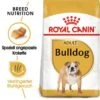 ROYAL CANIN Bulldog Adult 3 Kg -EUKANUBA Verkäufe 035c779d0bc473424b69e50be865046cfd5e3a89 9a657e603cc6a8087d770549b84f4386e8a65143