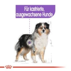 ROYAL CANIN Sterilised Medium 12 Kg 13 ROYAL CANIN Sterilised Medium 12 Kg -EUKANUBA Verkäufe 039eaafa911afd7ed0cefd0f84954f3b2ae5a847 1376253 de DE oajs 5