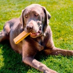 Larsson Yaky Kaukäse XL -EUKANUBA Verkäufe 06d40594a1ce5b7fb2b9172bc3bce44107037525 1327624 de DE 620ca0cdbae088fab54671a36b17dafb3fbfc6ccVv825o