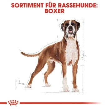 ROYAL CANIN Boxer Adult 12 Kg 7 ROYAL CANIN Boxer Adult 12 Kg – Bild 5