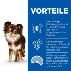 Hill's Science Plan Small & Miniature Light Adult 1+, Huhn 1,5 Kg -EUKANUBA Verkäufe 0ad20a701951844a1c2fc190e42b91d454dc7645 52742024745 4