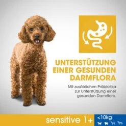 PERFECT FIT Sensitive Adult 6 Kg -EUKANUBA Verkäufe 0b37d2f602736a300ea14318882143088770b19d 1390283 de DE PerfectFit Sensitive SI1 F B