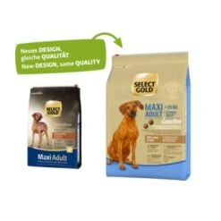 SELECT GOLD Sensitive Adult Maxi Lamm & Reis 4 Kg -EUKANUBA Verkäufe 13ba48fca1b5bd9be590fc59eb849f63e9c9417d 1001755003 1
