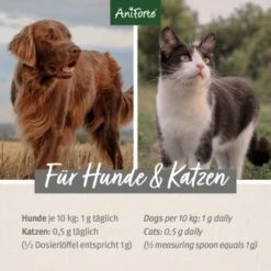 Aniforte Bierhefe Pulver 250 G -EUKANUBA Verkäufe 148c8581737f52de645b64e565c357c87d9112d4 1665877 de DE c14d44ee873d2fc6209ffead7d05d98c1f5e851baQgvTN