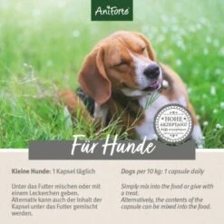 Aniforte Zecken Schild (bis 10kg) Für Kleine Hunde 60 Kapseln 13 Aniforte Zecken Schild (bis 10kg) Für Kleine Hunde 60 Kapseln -EUKANUBA Verkäufe 14f92616b6322b4e62e01d29fcccaf885e976307 1332831 de DE 6bc9b6e0f4008a56f840e783386b682a64027c34fBMT6s