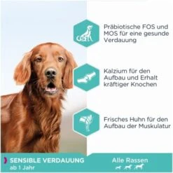 EUKANUBA Daily Care Sensible Verdauung 12 Kg -EUKANUBA Verkäufe 1a7d954ffcf2645186347fe3a5210755c5368933 4414615294b74dc58e6a1119f8cd6be9a67be173