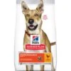 Hill's Science Plan Performance Adult 1+ Mit Huhn 14 Kg -EUKANUBA Verkäufe 1c04da13c5f86ddbbebf7084f40468826ac130f6 10b0c2e2dd0978fc8fbc8031739aa825a9ddec94
