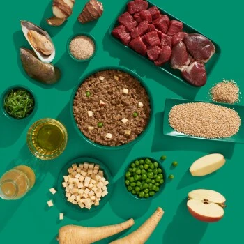 Fred & Felia FRED 10x390g SENIOR Hirsch & Pute 8 Fred & Felia FRED 10x390g SENIOR Hirsch & Pute – Bild 6