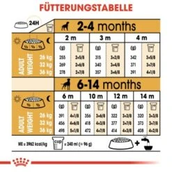 ROYAL CANIN Boxer Puppy 12 Kg -EUKANUBA Verkäufe 1d7f5e3d2a00d175774adf8c01d791ebe8277dfc 6dff00cd99ccb72aecf4367e12827d5743855c22