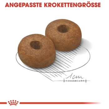 ROYAL CANIN Maxi Ageing 8+ 15 Kg 7 ROYAL CANIN Maxi Ageing 8+ 15 Kg – Bild 5