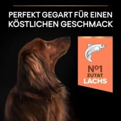 PRO PLAN Optiderma Small & Mini Adult Sensitive Skin 3 Kg -EUKANUBA Verkäufe 24fea738853bcb740899bd0177404be765200d61 1206421 5