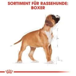 ROYAL CANIN Boxer Puppy 12 Kg -EUKANUBA Verkäufe 26b8108fe7f848d5514f54a6ebebe445e9749634 bc544cb1464daff2fcccab10e7c9f1ae73a4f2d1
