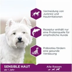 EUKANUBA Daily Care Sensible Haut 12 Kg -EUKANUBA Verkäufe 2ac8b12e9bbcd9f97aaad7e0b275ab1a12aadd10 9080130ab11389ec72354c5ef3b9e725118015a6