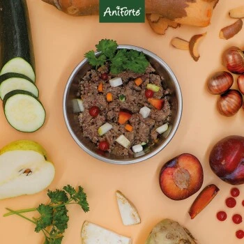 Aniforte WildForest Wild Mit Zucchini 2,4 Kg 9 Aniforte WildForest Wild Mit Zucchini 2,4 Kg – Bild 7