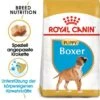 ROYAL CANIN Boxer Puppy 12 Kg 1 ROYAL CANIN Boxer Puppy 12 Kg -EUKANUBA Verkäufe 324e77cdbbf2fab1b6a49d42c9c1a491b345e8b2 931ca283f03e43d02abb734642c10033e04000f1