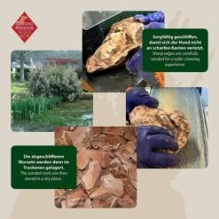 ChronoBalance Kauwurzel Baumheide (S) 2er Paket -EUKANUBA Verkäufe 337f42f7f9e26434f99a76b1eb1228e2cb3c330b 1418713 de DE ba8b2a31068658c9820512bd79f25900dbe0cd09dhzOS0