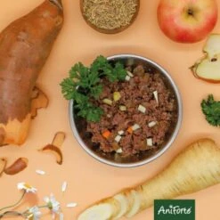 Aniforte RanchHorse Pferd Mit Süßkartoffeln 6 X 800 G 17 Aniforte RanchHorse Pferd Mit Süßkartoffeln 6 X 800 G -EUKANUBA Verkäufe 38506377c5addebafb0e7ea4facaed0b2991077f 1422201 de DE 6d1293617badddb525bf66465c13520b0b2538ebR0kQUQ