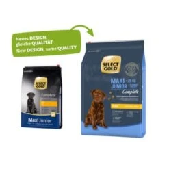 SELECT GOLD Complete Maxi Junior Huhn 4 Kg -EUKANUBA Verkäufe 3acb347042e475ac57e9826941a997b8e515d248 1001478001 1