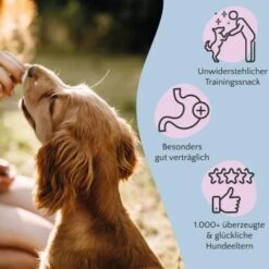 FAVLY Petfood Nature Cookies Pute 360 G 12 FAVLY Petfood Nature Cookies Pute 360 G -EUKANUBA Verkäufe 3c4584472c13d10f5e19d1e9ef96341ca6dec3b2 1474002 de DE 301bd8d5aa99f57312b9f6bf9f09f0b879ce5f08YRbuxr