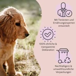 FAVLY Petfood Premium Naturkauartikel Rinderpansen 1,05 Kg -EUKANUBA Verkäufe 3c7dea888d41e787be14f9a3e7d3063c7c5e0f1d 1475220 de DE a2c9f8d86d80fc90ca8f9c923a08051ec130ef8dgxl8xk