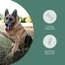 Mammaly Happy Hips 110g -EUKANUBA Verkäufe 3c8bff51a0475eda30226950bbfaf91b8c4d5bf4 1472886 1 3