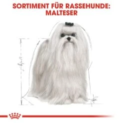 ROYAL CANIN Maltese Adult 1,5 Kg 1,5 Kg -EUKANUBA Verkäufe 3eeb7f69af147bc5f04c404f6669c7f0a526e99c 337199db195a0656d970493cf83194fff6f65266