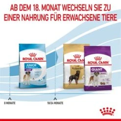 ROYAL CANIN Giant Junior 15 Kg -EUKANUBA Verkäufe 3f0f320cf0514c60e2d60f64a366dd987cd444ca 3182550707077 7
