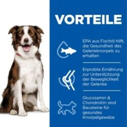 Hill's Science Plan Healthy Mobility Medium Breed Adult 1+ Mit Huhn 14 Kg -EUKANUBA Verkäufe 3fcaebf69525b009c44756b18933a850b2f3883d 52742026138 4