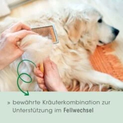 Fell & Haut Vital 150 G 12 Fell & Haut Vital 150 G -EUKANUBA Verkäufe 4b5f7de965eae94531d5560734f33444a0071a93 1049905 de DE 2d1bc3a540575105062fbc54df85eb515b459321CnG7ce