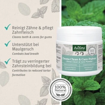 Aniforte Denta Clean & Care Zahnpflege Pulver 150 G 6 Aniforte Denta Clean & Care Zahnpflege Pulver 150 G – Bild 4