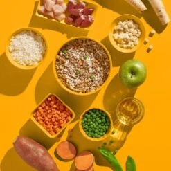 Fred & Felia FRED 10x200g Huhn Mit Reis -EUKANUBA Verkäufe 4df177d9b2b02154a420d4941abc413f894d2bde 1422064 de DE e6a828c782f8e596bfacddaff55a6cca79947cfbKHPOzt