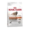 ROYAL CANIN ENERGY 4300 (TRAIL) 15kg 2 ROYAL CANIN ENERGY 4300 (TRAIL) 15kg -EUKANUBA Verkäufe 51ce3668290aaf437cafd69efe009fed220d1a46 137a41285849c3a88bcc31f66d05e1f2724d1204