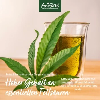 Aniforte Bio Hanföl 500 Ml 5 Aniforte Bio Hanföl 500 Ml – Bild 3
