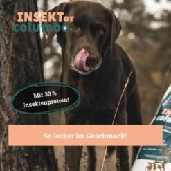 BeG Buddy Trockenfutter Insekten 750 G 12 BeG Buddy Trockenfutter Insekten 750 G -EUKANUBA Verkäufe 57b9a060951fe7e729b2208effd5fd5daa31d3f3 1457247 de DE a7b2e0a08ffde87f19ce4820500c56d453115ca7aqYpJv