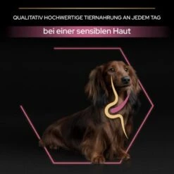 PRO PLAN Optiderma Small & Mini Adult Sensitive Skin 3 Kg -EUKANUBA Verkäufe 583a4581180cd9257ec89c06604244bb36146ea4 1206421 3