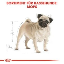 ROYAL CANIN Mops Adult 3 Kg 12 ROYAL CANIN Mops Adult 3 Kg -EUKANUBA Verkäufe 589e30903e56ad792aa772c50bdee71a9cf194bc e4918d62ef4cc7e4fc1b441cbb18a65f4eacd496
