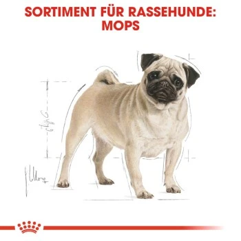 ROYAL CANIN Mops Adult 3 Kg 7 ROYAL CANIN Mops Adult 3 Kg – Bild 5