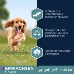 EUKANUBA Adult Small & Medium Breed Lachs 12kg 9 EUKANUBA Adult Small & Medium Breed Lachs 12kg -EUKANUBA Verkäufe 5933f8752d3e56543c86195fc7fc048ee244f003 87fd8c6c7395e3c5af5bdc8f2510da668a11f0d1