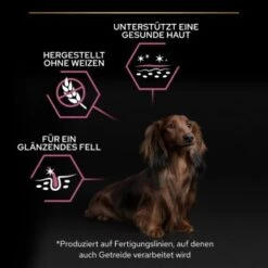 PRO PLAN Optiderma Small & Mini Adult Sensitive Skin 3 Kg -EUKANUBA Verkäufe 5b23ca122221cb62b2f41b30bcbdc34aa80d6fe1 1206421 6