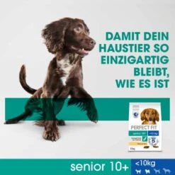 PERFECT FIT Senior Huhn 6 Kg -EUKANUBA Verkäufe 5d6a12f60fff58f3f403c756f84a484066b08bdd 1390282 de DE SI04 PFT Dog Dry Senior XSS Chicken 825g DAM