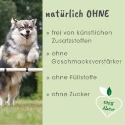 ArthroGreen Collagen 130 G -EUKANUBA Verkäufe 5eedd47cb74b38ad0c50dc35bd7f4c16e1a12987 1662610 de DE 4cdda5328482d1b6c070bf5cc0805d754bf7f6674T6kvt