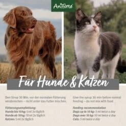 Aniforte Ulmenrinde 100 G -EUKANUBA Verkäufe 6844553751b5b8e03a1bb129a8a2591ba4eb2f73 1332939 de DE de3a0d43a9558905dce3688643de1dd30a234084IPDVe7