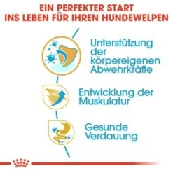ROYAL CANIN Boxer Puppy 12 Kg -EUKANUBA Verkäufe 688da358c7c13e34db44e38709f501f61e164dee b934048524a4df1f17cf77c3abbb472833d5297e