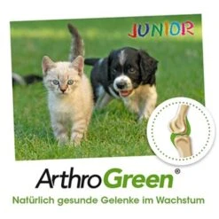 ArthroGreen Junior 25 G -EUKANUBA Verkäufe 6a60d69f3d1c00ba35978cfcbf4d867d243561bc 1674241 de DE bed99a5dadc632a71630f6b3e1df7dd049168828anHF6x