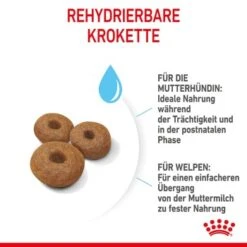 ROYAL CANIN MAXI Starter 15kg -EUKANUBA Verkäufe 6b3d4eca89fc38af516846f4b626b5bde7538980 1044296 de DE royalcaninwb4