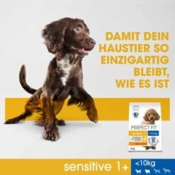 PERFECT FIT Sensitive Adult 6 Kg -EUKANUBA Verkäufe 6bd729623e7892aa1fa71ff8a86dd7e938665b70 1390283 de DE PerfectFit Sensitive SI6 F B2