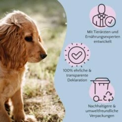 FAVLY Petfood Nature Cookies Pute 360 G 13 FAVLY Petfood Nature Cookies Pute 360 G -EUKANUBA Verkäufe 6c9d1abe0a2c3e1ebe66676a84af974447985b3a 1474002 de DE 8376156006fe9b222994c99185dc131fb988c3c2LLZ2OM